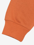 Sweatshirt Carhartt