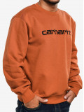 Sweatshirt Carhartt